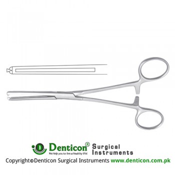 Maingot Hysterectomy Forcep Straight - 1 x 2 Teeth Stainless Steel, 20 cm - 8"